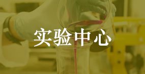 同类内容如某条暂不可用